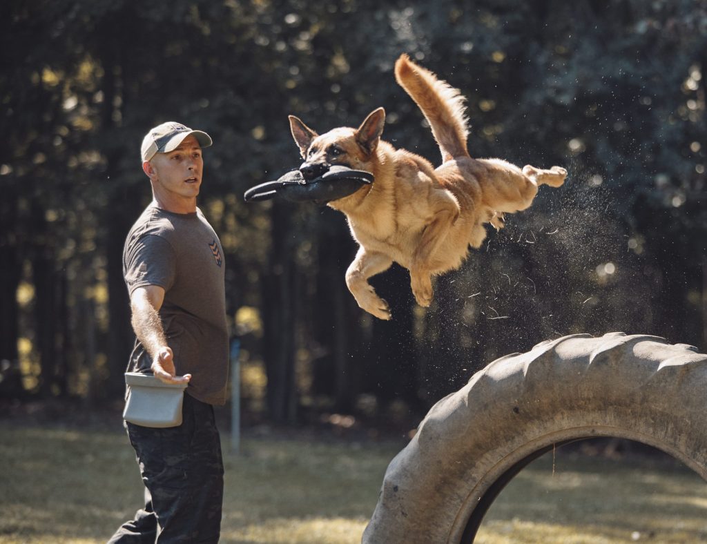 Advanced skills are a fun way to bond with your dog, and teach them high level techniques that increase confidence, obedience, and discipline.
